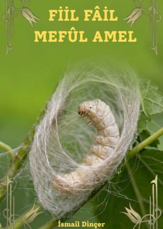 FİİL FÂİL MEFUL